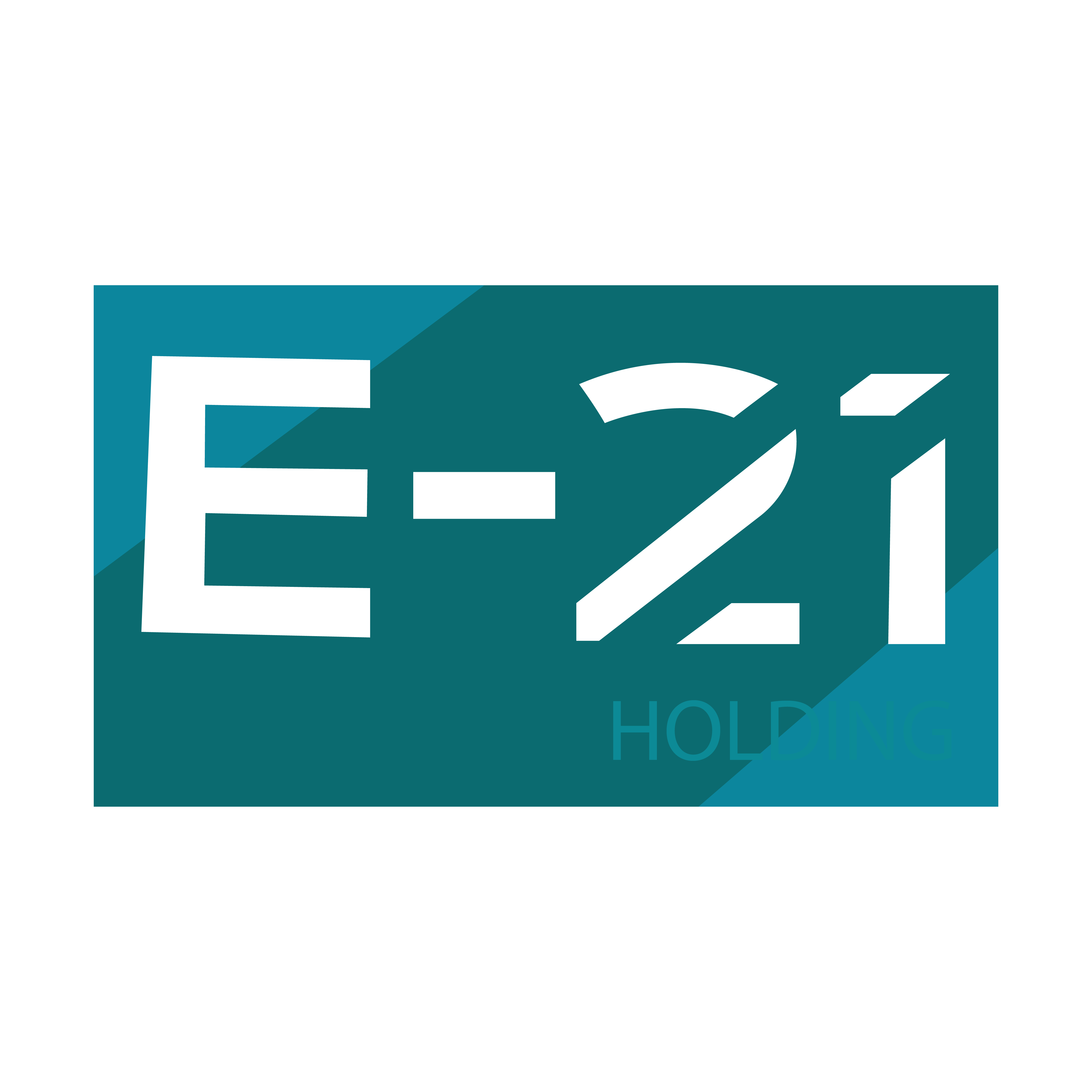 e12 logo